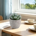 thumbnail image 4 of WIZUTIZ Artificial Potted Plants Fake s in Gray Pots Realistic Plastic Greenery for Home Office Table Shelf Desk Decor Low Maintenance Faux Flowers C, 4 of 6