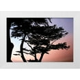 thumbnail image 3 of Alan Hausenflock 4x24 White Modern Wood Framed Wall Art Titled - Cypress Silhouette I, 3 of 5