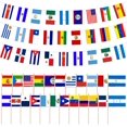 thumbnail image 1 of YanonmyfdWorld Cup Handheld Flags, 48 Countries International Stick Flags with Plastic White Pole for World Cup Decorations 2026- Double Sided Polyester Fabric Small Flag on Stick for Olympic Party, 1 of 12