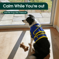 thumbnail image 7 of IDOMIK Dog Anxiety Vest, Adjustable Dog Calming Shirt for Fireworks, Travel & Separation Stress, Blue, XS, 7 of 7