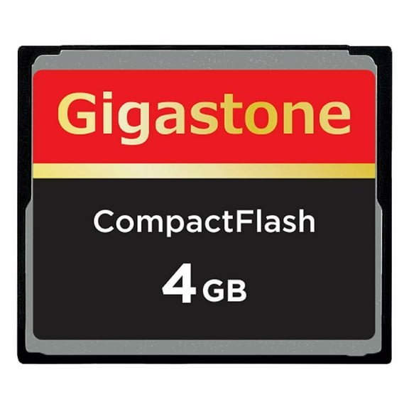 Dane Elec/Gigastone 4GB Compact Flash Memory Card for Nikon SLR D2X D2Xs D70 E022, D300 D700 D100 D200