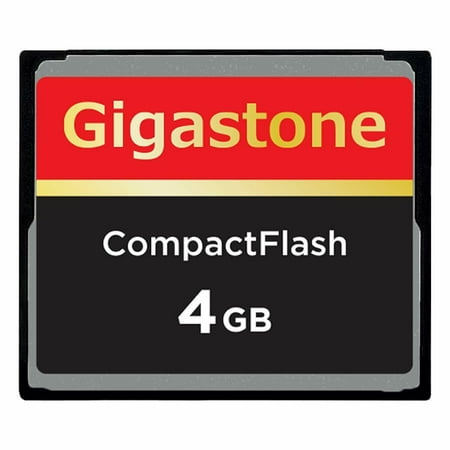 Dane Elec/Gigastone 4GB Compact Flash Memory Card for Nikon SLR D2X D2Xs D70 E022, D300 D700 D100