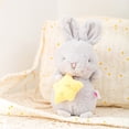 thumbnail image 1 of Toy Star Carrot Rabbit Doll Bunny Plush Toy Baby Comfort Doll, 1 of 3