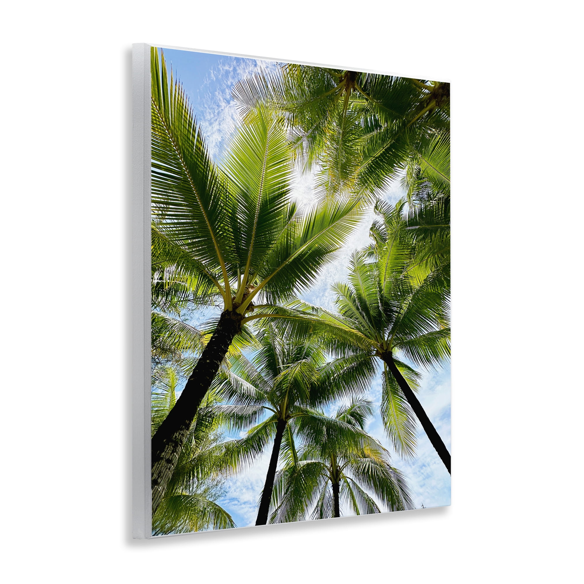 Stupell Industries Overhead Palm Trees Plants & Flowers Photography Unframed Art Print Wall Art, 11 x 14