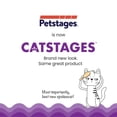 thumbnail image 4 of Juguete Interactivo de 4 Niveles Petstages Chase Meowtain para Gatos, 4 of 9