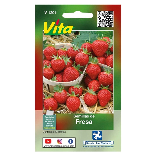 DECOALIVE Semillas De Fresas: Cultiva Tus Propias Fresas En Casa (¡fáciles Y Deliciosas!)
