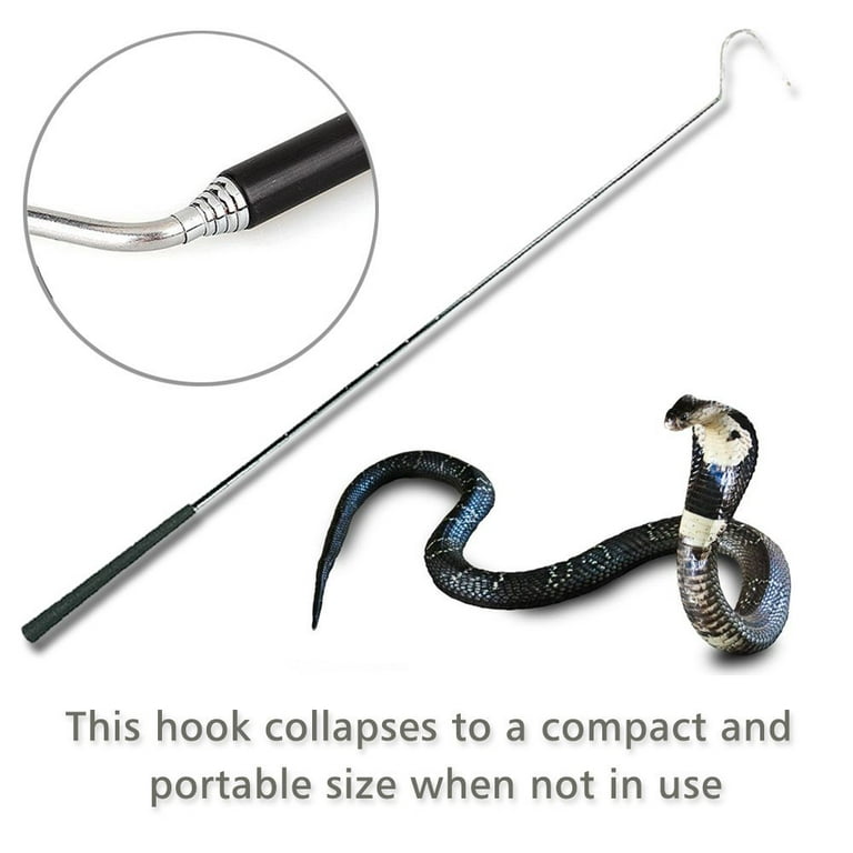 MODERNJOE'S Premium Extra Long Collapsible Stainless Steel Snake Hook  Extends to 39 inches, Catch and Handle Corn Snakes, Kingsnakes, Rosy Boas,  Ball