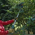 thumbnail image 4 of Scott's PR17216PS 7.2V Lithium-Ion Cordless Garden Pruner with Pole Kit (2 Ah), 4 of 4