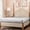 Light Grey, variant on PROMEED 23mm Silk Queen Size Fitted Sheet ONLY, 100% New 3rd Gen 23 Momme 100% Mulberry Silk Bed Sheet 1pc with 16-Inch Deep Pocket (Champagne, Queen)