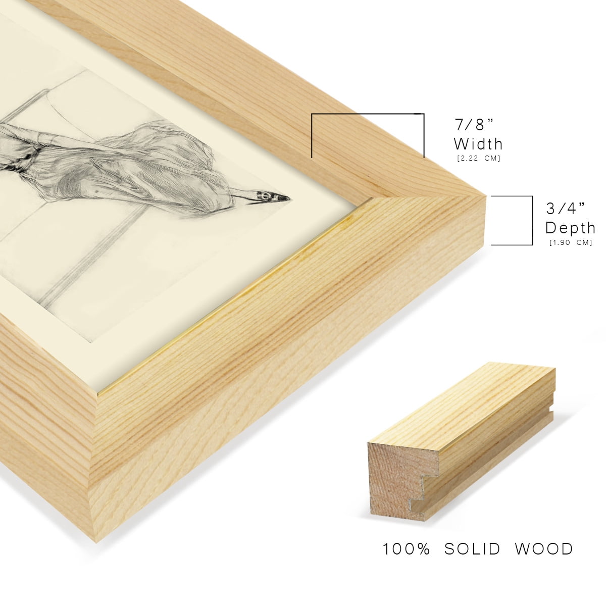 Feather Hat I -Framed Print w/glass-Natural Wood