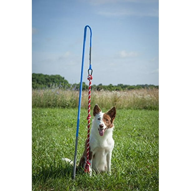 Tether Tug Outdoor Dog Toy, Medium, Assorted Colors, 55" x 4" x 4