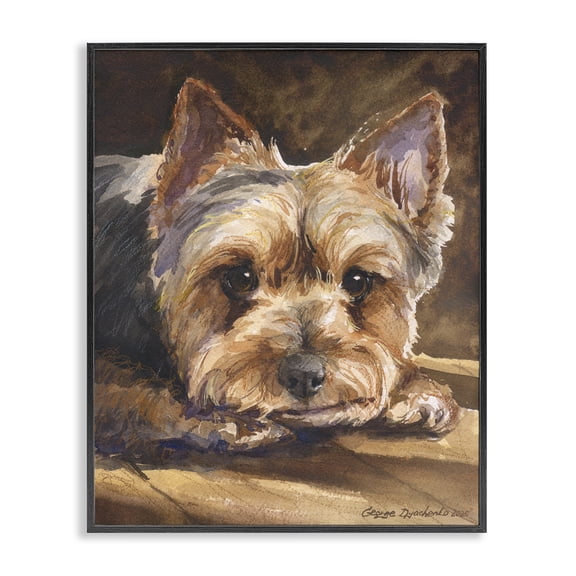 Stupell Industries Rustic Lodge Yorkshire Terrier Portrait Black Framed Giclee Art, 11 x 14, by George Dyachenko