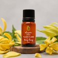 thumbnail image 1 of Aceite Esencial Puro Ylang Ylang 15ml, 1 of 5