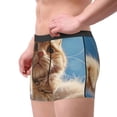 thumbnail image 2 of Susaid Playful Cat Fisheye View Print Men's Mesh Boxer Briefs Cooling Breathable Sports Underwear Wide Waistband Boxer Briefs W/Fly-Medium, 2 of 5