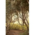thumbnail image 2 of Millet, Karyn 13x18 White Modern Wood Framed Museum Art Print Titled - Secret Garden I, 2 of 4