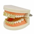 thumbnail image 4 of Extérieur Sécurité D'escalada Protection Rappelling élingue Sangle 60cm Bleu Oro Hugo Tapas de dientes bucales, 4 of 6