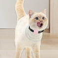 thumbnail image 1 of Klonfd Stay Connected With Your Furry Advanced Pet Locator Device Real Tracking & Alerts For Peace Of Mind, 1 of 4