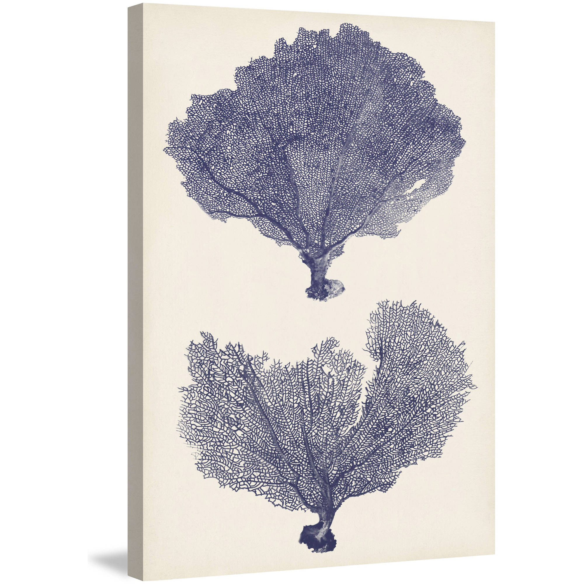 Marmont Hill "Indigo Seafans II" Painting Print on Wrapped Canvas