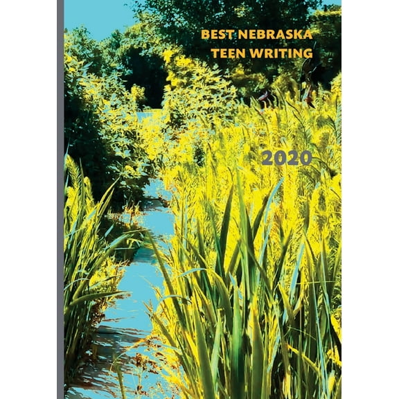 Best Nebraska Teen Writing 2020 (Paperback)