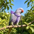 thumbnail image 5 of Purple Escape-Proof Bird Harness Leash, Adjustable Soft Breathable Flying Vest for Parrots Cockatiel, Lightweight Outdoor Walking Rope with Wing Cover 79 Inch, 5 of 6