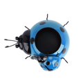 thumbnail image 5 of Metal Ladybug Flower Planter Insect Design Flower Pot for Indoor or Outdoor Decoration, 5 of 8