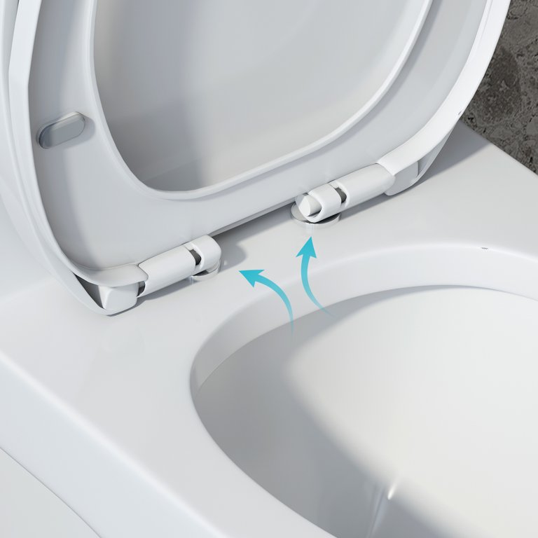 【OAO】MONOLITH 27.0センチ　US9 Elongated One Piece Toilet with Soft Closing Seat, 12