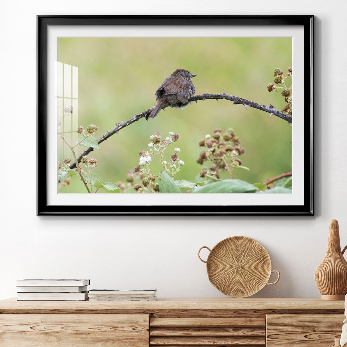 Resting Sparrow Premium Framed Print - Ready to Hang