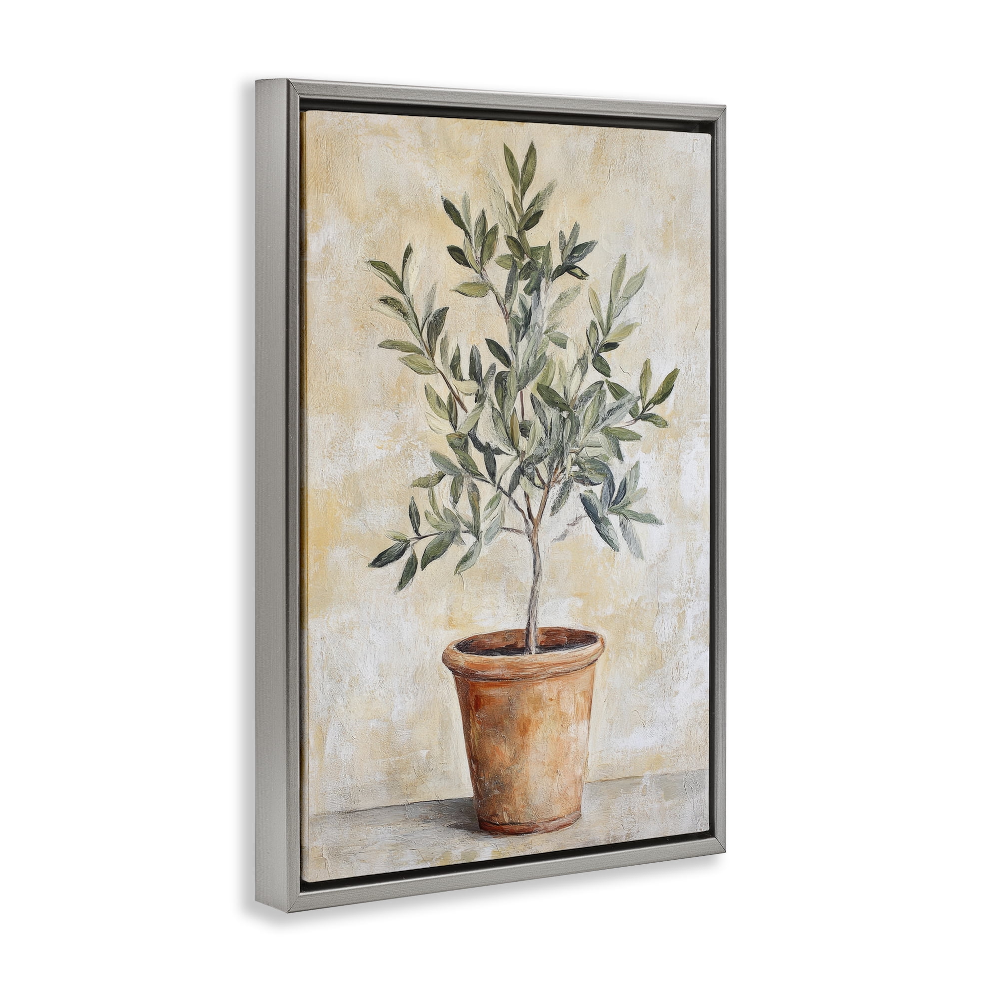 Stupell Industries House Plant in Terracotta Gray Framed Floater Canvas Wall Art, design by Petal Prints Design