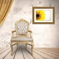 thumbnail image 3 of Quillen, Donnie 24x17 Gold Ornate Wood Framed with Double Matting Museum Art Print Titled - Sunflower Close-up, 3 of 4