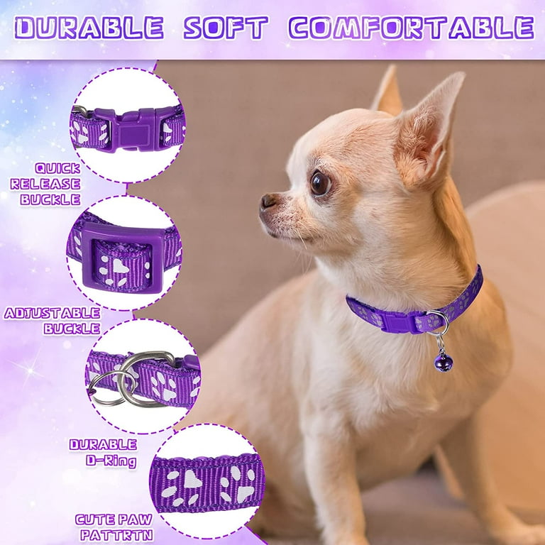 Quick release hotsell kitten collar