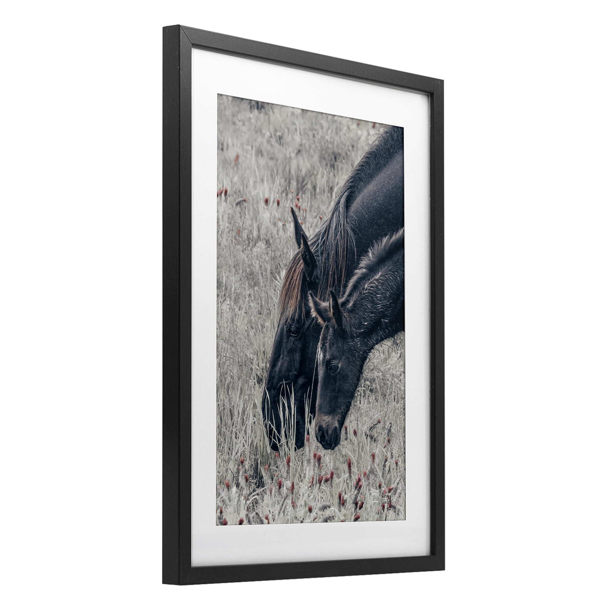 Stupell Industries New Graze Horses in Meadow Black Framed Print Under Glass, design by Nathan Larson