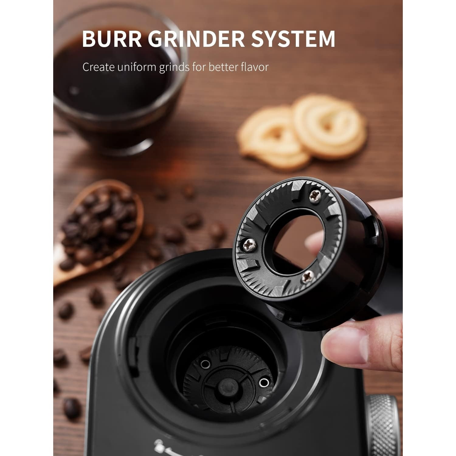 Burr Coffee Bean Grinder Electric, Adjustable Burr Mill with 16 Precise Grind Setting for 2-14 Cup, Silver