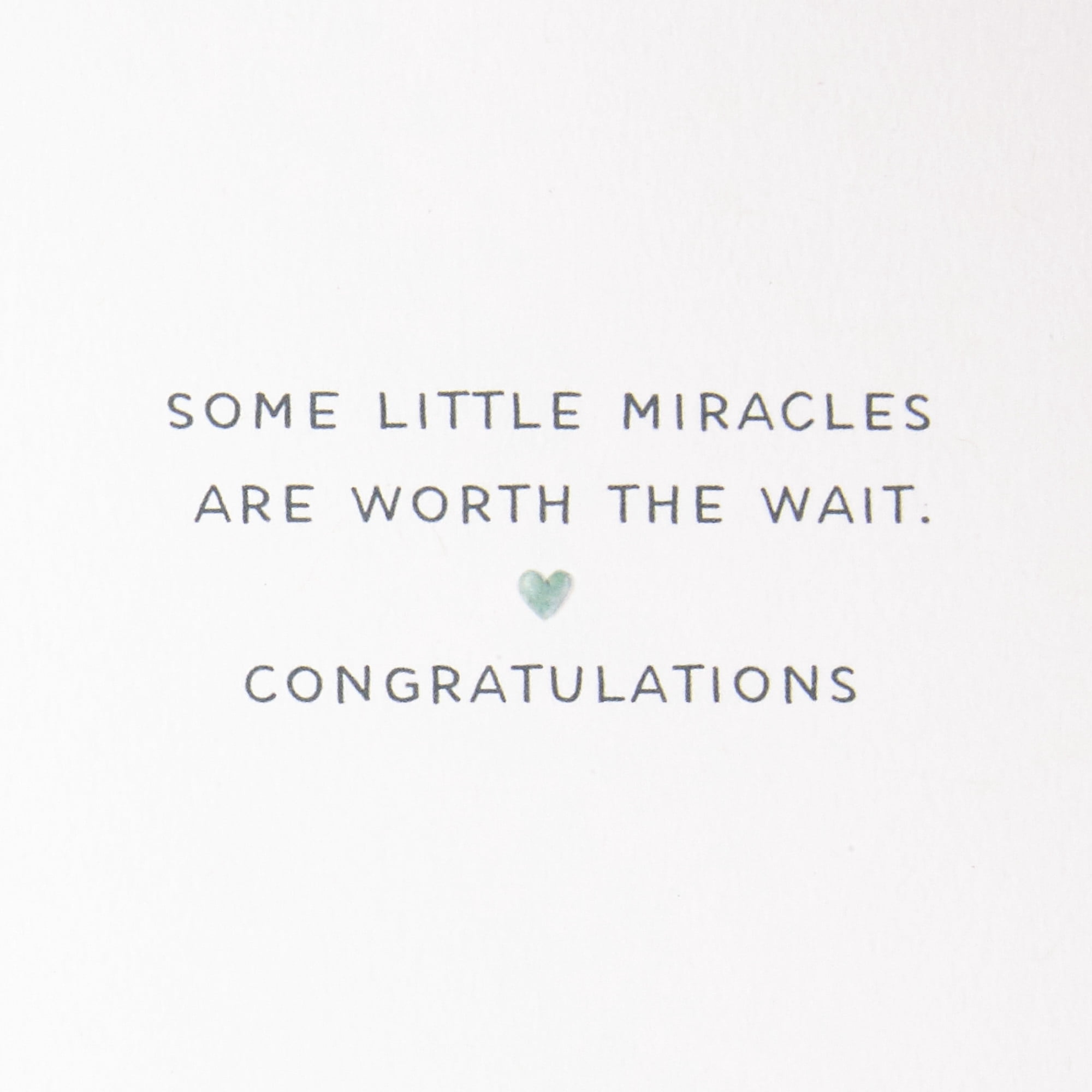 Hallmark Signature New Baby Card (Worth the Wait)