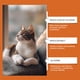 thumbnail image 4 of Spray repelente para gatos de 100 ml para uso doméstico que evita que los gatos orinen y arañen los muebles. Spray repelente portátil de plástico para gatos., 4 of 6