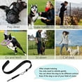 Dog Whistle Stop Barking Professional Ultrasonic Whistles for Puppy