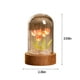 thumbnail image 3 of Luces LED, kit de luz nocturna de tulipanes DIY - Proyecto de luz nocturna de arte y manualidades novedoso para niñas - Kits de terrarios de flores iluminados para niños, adolescentes y adultos - Lámp, 3 of 6