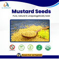 thumbnail image 4 of Al Hossain Natural Mustard Seeds 8.8oz (250g) – Premium Guatemalan / Imported Mustard Seed Spice, Vegan, Gluten-Free, All-Natural, High Fiber & Nutrient-Rich Seasoning, 4 of 5