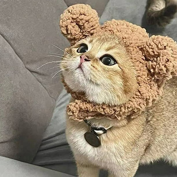 Capucha de felpa de gato lindo Sombrero de mascota de invierno calido Capucha de felpa de oso MFZFUKR m Bodega Aurrera en linea