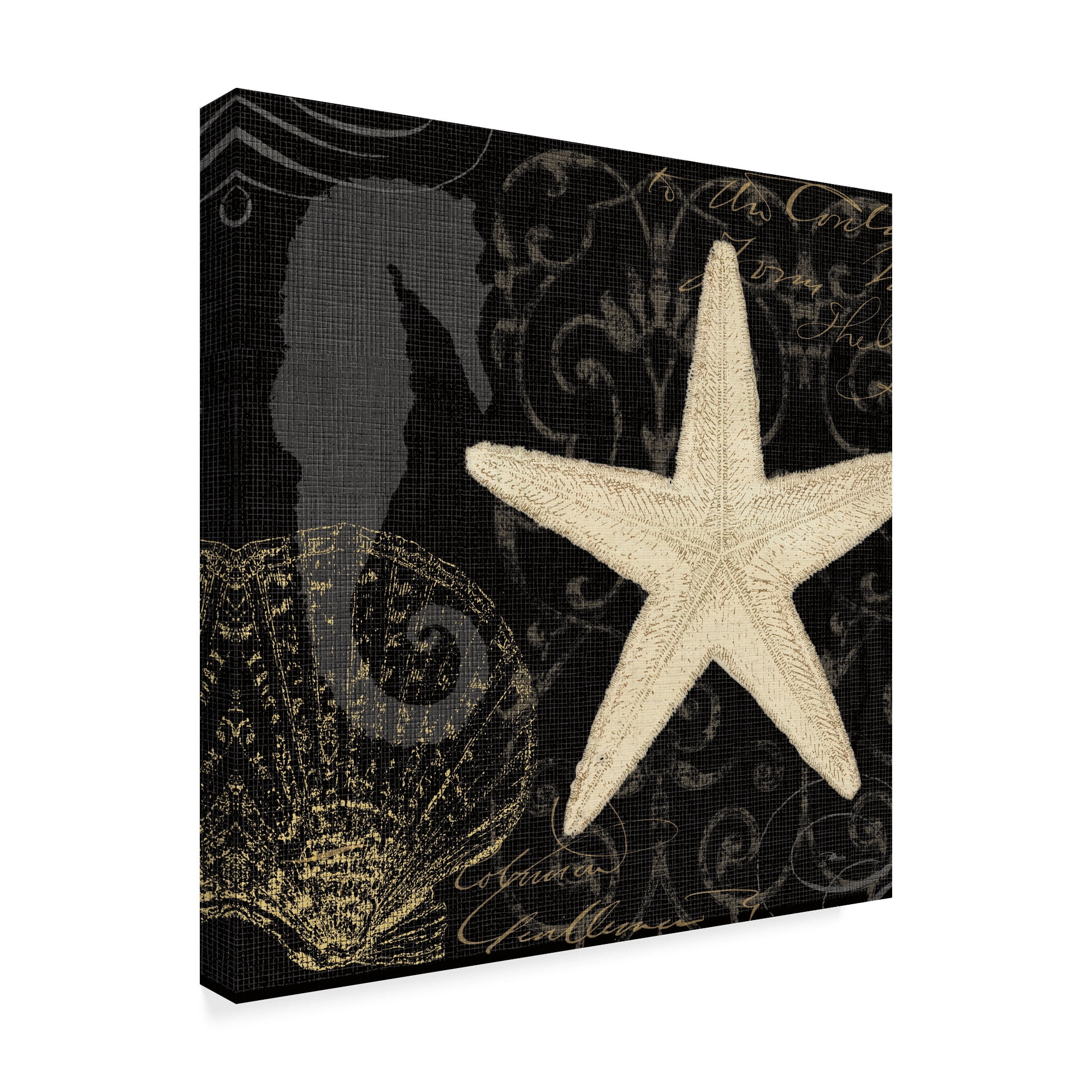 Trademark Fine Art 'Coastal Moonlight I' Canvas Art by Pela Studio
