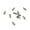 M2*6, variant on 10pcs Nickel Plated GPU Graphics Card Plate Heatsink Screws Spring Screws Parts