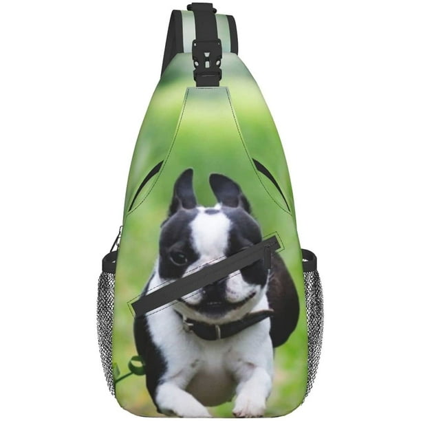 Boston terrier hiking cheap