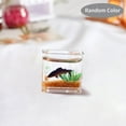 thumbnail image 4 of 2 Uds 1:12 Miniatura Con Decoración De Casa De Zulema Tanque de acuario de casa de muñecas, 4 of 8