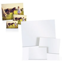 Better Office Products Acid-Free Glossy Inkjet/Laser Photo Paper, 4" x 6", 100 Sheets, 100 Count