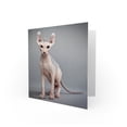 thumbnail image 2 of Sphynx Cat Bald Greetings Card Plus Envelope Blank inside, 2 of 3