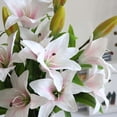 thumbnail image 5 of Viworld Artificial Tiger Lily 5Pcs Latex Fake Flowers Real Touch Bouquet For Wedding Party Home Office Garden Hotel Decor (Pink And White), 5 of 7