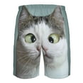 thumbnail image 6 of Kdxio Funny Cat Pattern Mens Casual Shorts - Drawstring Summer Beach Sports Shorts for Men, 6 of 9