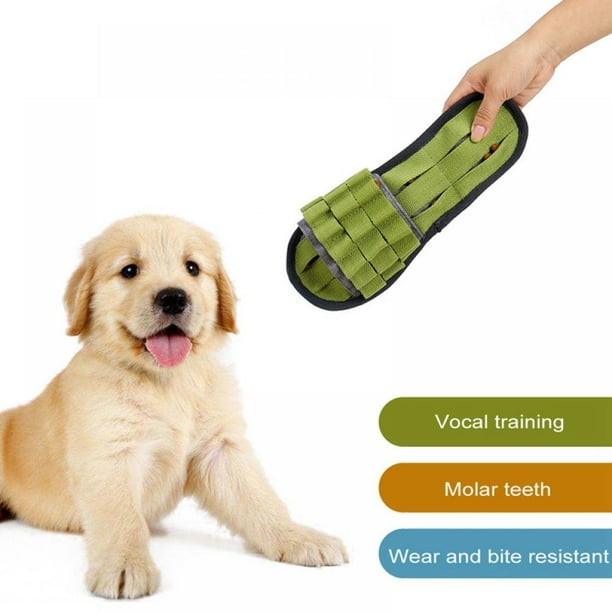 Dog biting cheap slippers