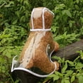 thumbnail image 6 of SPRING PARK Pet Dog Puppy Rain Coat Clothes Waterproof Jacket Rainwear Clear Buttons Hood Coat, 6 of 7
