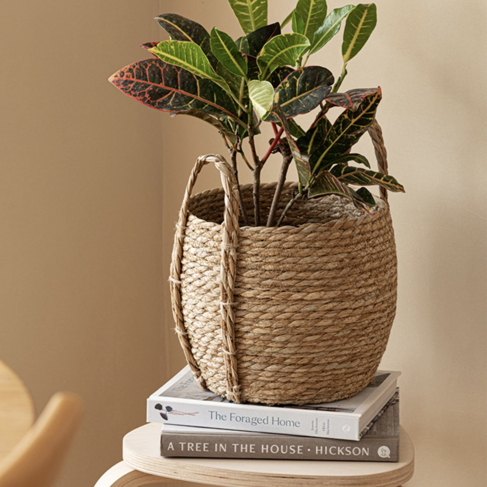 witspace Seagrass Plant Basket, Wicker Woven Laundry Basket, Basket Planter for Plants Indoor, Large Wicker Plant Baskets, Seagrass Baskets for Plants (11.8x10.2 Inch)