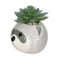 thumbnail image 3 of Artificial Succulent Plant in Raccoon Planter, 3 of 4